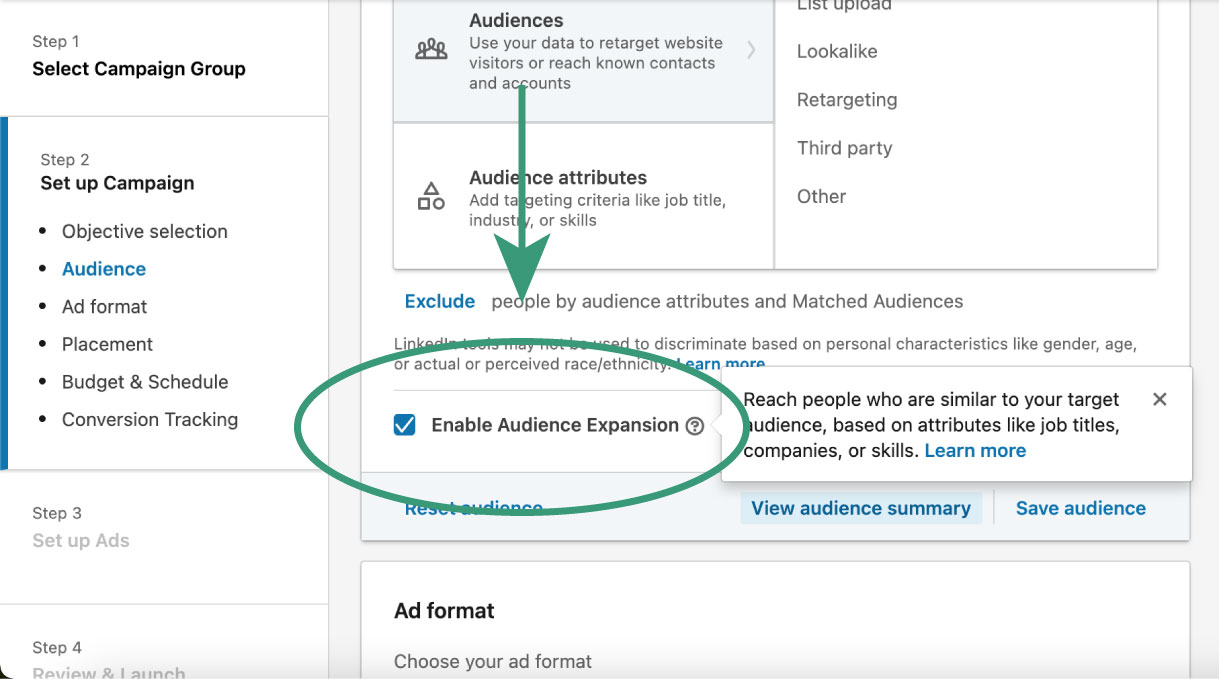 to enable audience expansion or not on LI