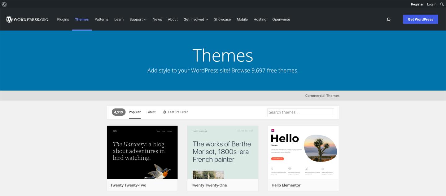 WordPress Themes