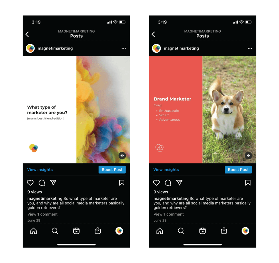 Magneti's instagram posts on what type of marketer are you? Man's best friend edition